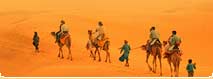 >Golden Triangle with Rajasthan Tours